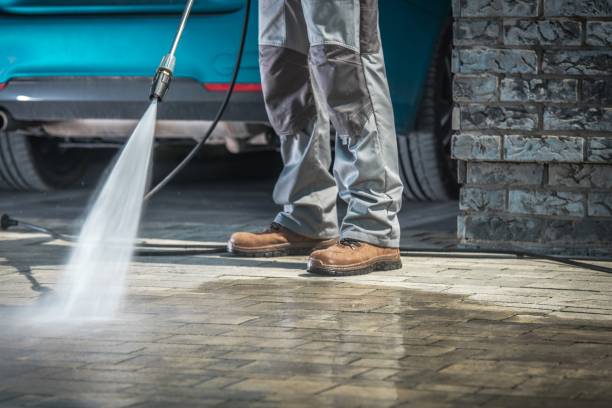 Best Roof Washing  in Plum Grove, TX