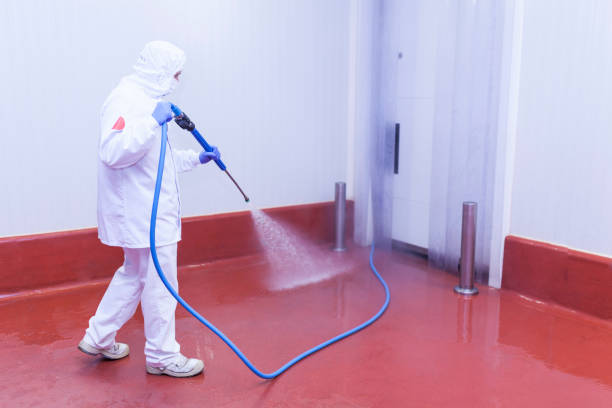 Best Solar Panel Cleaning  in Plum Grove, TX